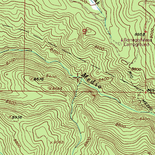 Topographic Map of Rio Molino, NM