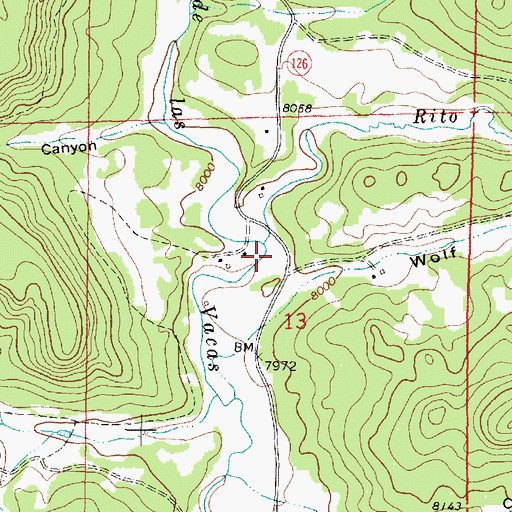 Topographic Map of Rito Peas Negras, NM
