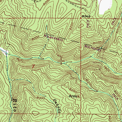 Topographic Map of Rito Quemado, NM