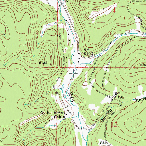 Topographic Map of Rock Creek, NM