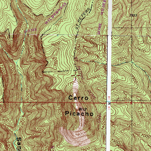 Topographic Map of Saint Peters Dome Trail, NM