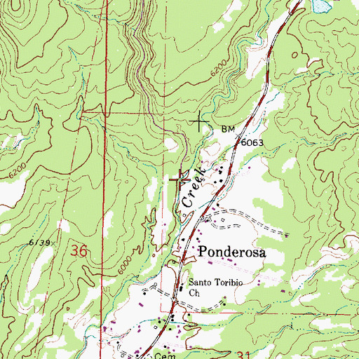 Topographic Map of San Juan Canyon, NM