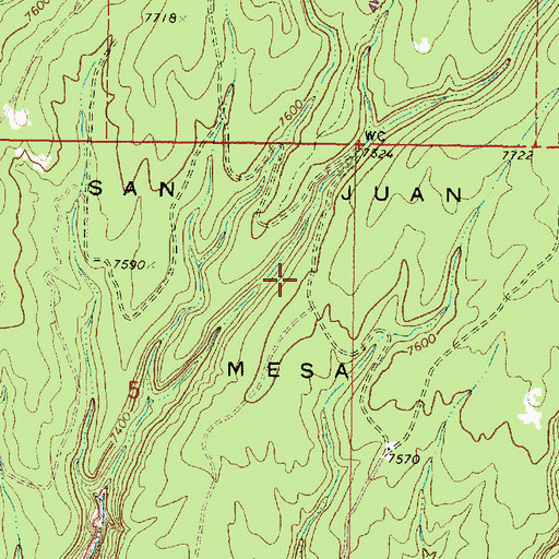 Topographic Map of San Juan Mesa, NM