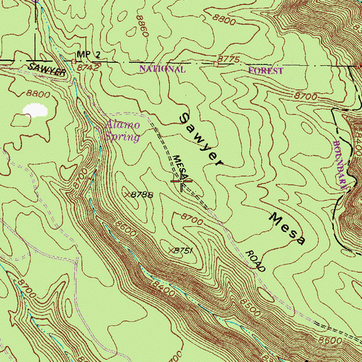 Topographic Map of Sawyer Mesa, NM