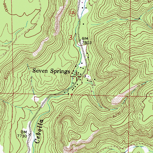Topographic Map of Seven Springs, NM