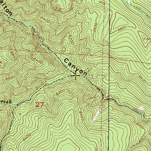 Topographic Map of Wild Horse Creek, NM