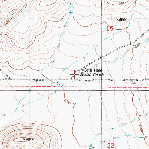 Topographic Map of Bald Tank, NM