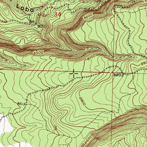 Topographic Map of Phillips Water Well, NM