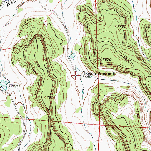 Topographic Map of Rincon Water Well, NM