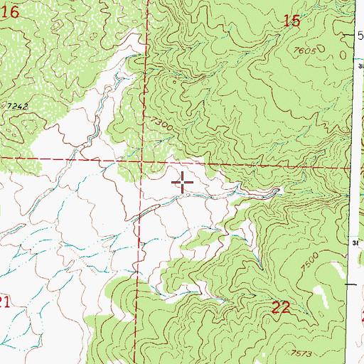 Topographic Map of Witch Water Well, NM