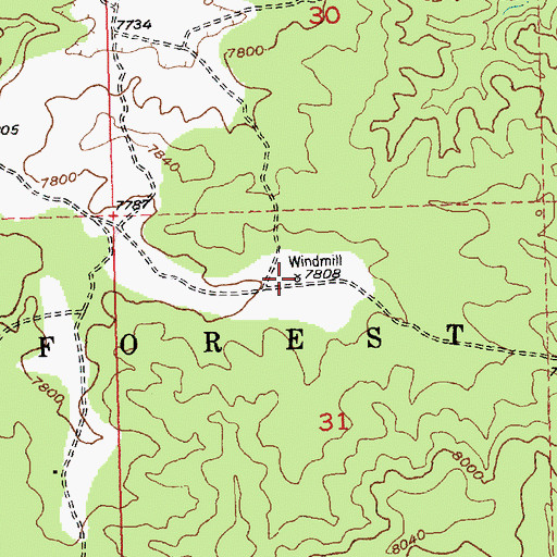 Topographic Map of Lava Water Well, NM