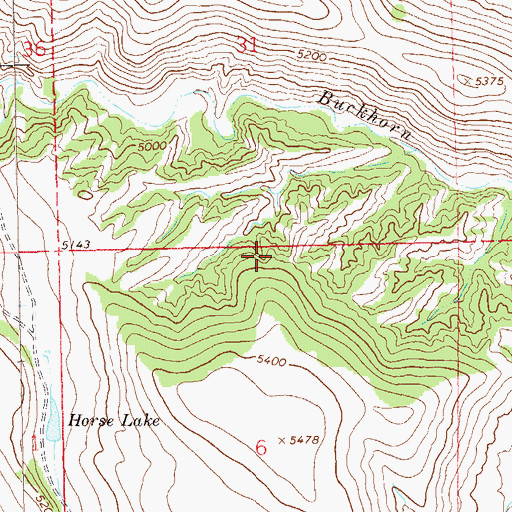 Topographic Map of Buckhorn Store Water Well, NM