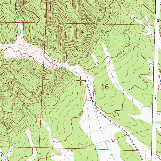 Topographic Map of Buck Water Well, NM
