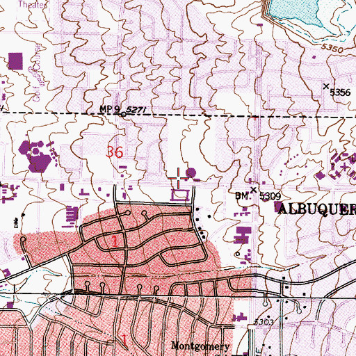 Topographic Map of Leyendecker 1 Water Well, NM