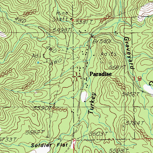 Topographic Map of Paradise, AZ