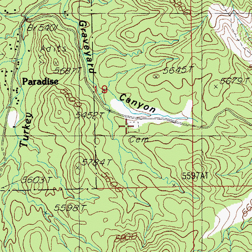 Topographic Map of Paradise Cemetery, AZ