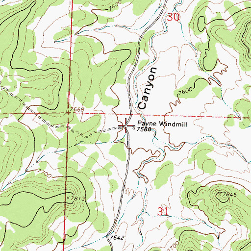 Topographic Map of Payne Windmill Water Well, NM