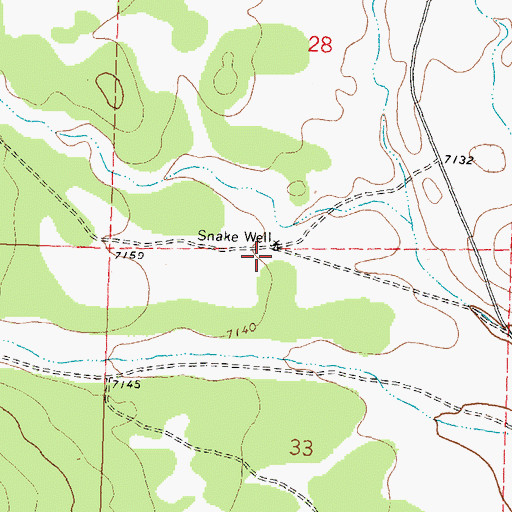 Topographic Map of Snake Water Well, NM