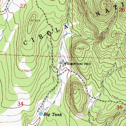 Topographic Map of Sugarloaf Well, NM