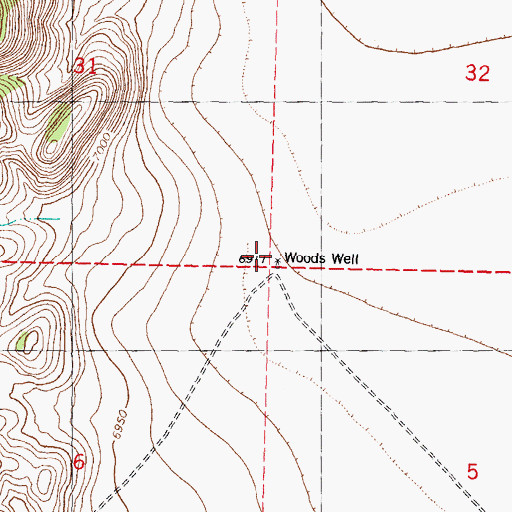 Topographic Map of Woods Water Well, NM
