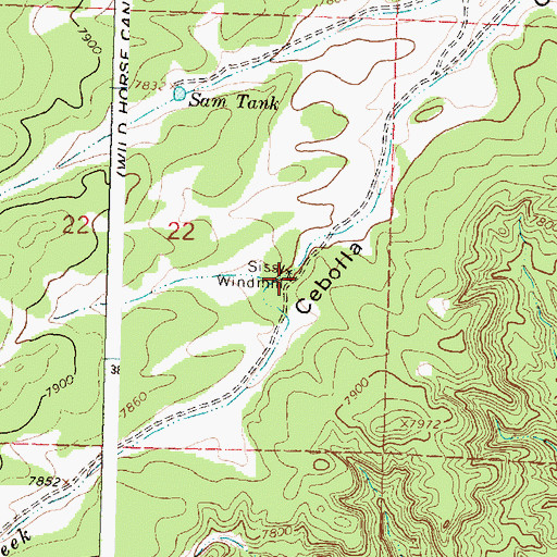 Topographic Map of Sissy Windmill Water Well, NM
