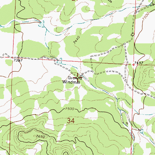 Topographic Map of Brown Mill Water Well, NM