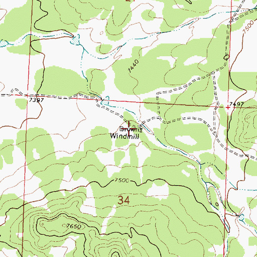 Topographic Map of Brown Windmill Water Well, NM