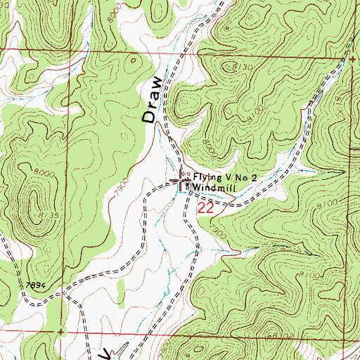 Topographic Map of Flying V 2 Water Well, NM