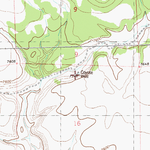 Topographic Map of Coyote Water Well, NM