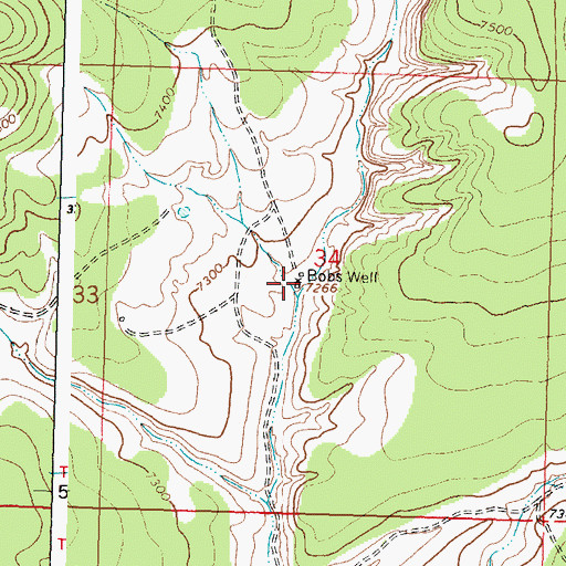 Topographic Map of Bobs Water Well, NM