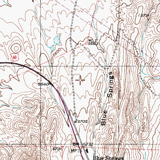 Topographic Map of Blue Springs, NM