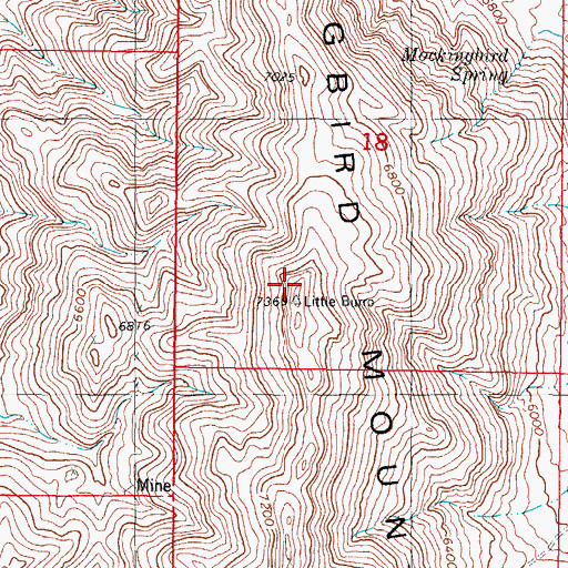 Topographic Map of Little Burro, NM