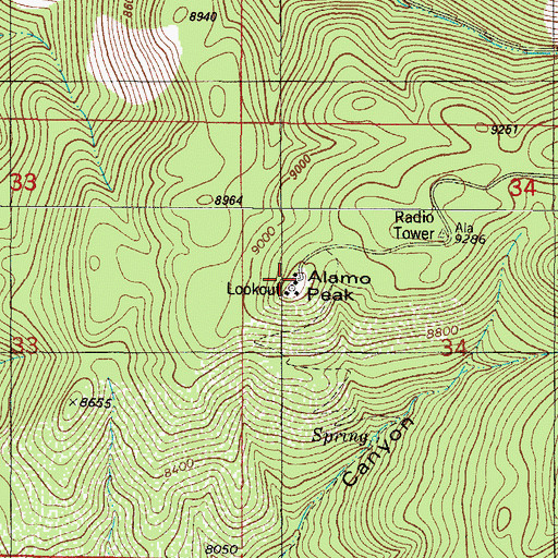 Topographic Map of Alamo Peak, NM