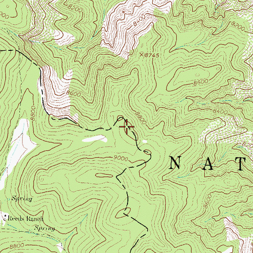 Topographic Map of Black Range, NM