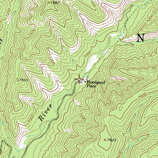 Topographic Map of Bloodgood Place, NM