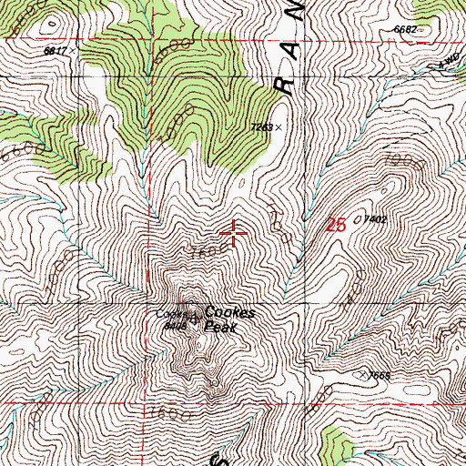 Topographic Map of Cookes Range, NM