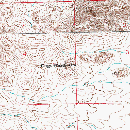 Topographic Map of Dogs Head, NM