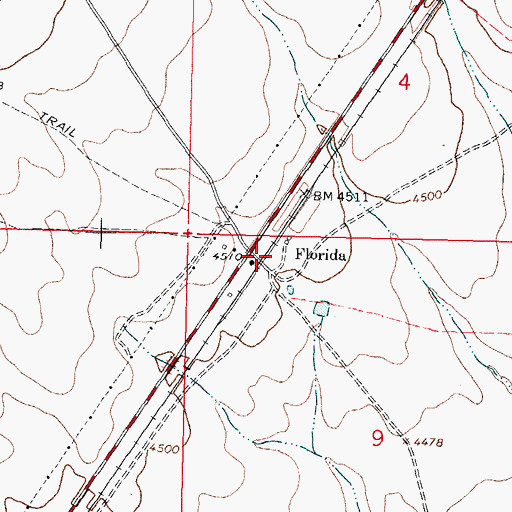 Topographic Map of Florida, NM
