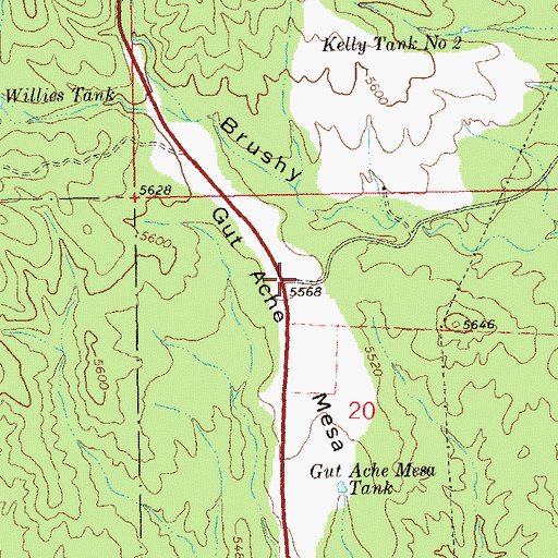 Topographic Map of Gut Ache Mesa, NM