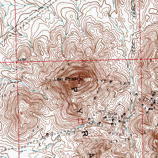 Topographic Map of Lee Peak, NM