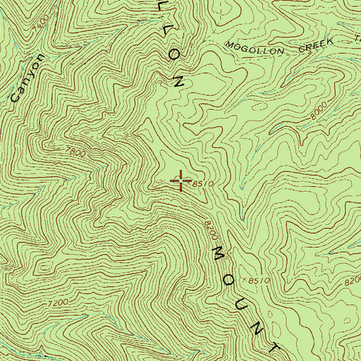 Topographic Map of Mogollon Mountains, NM
