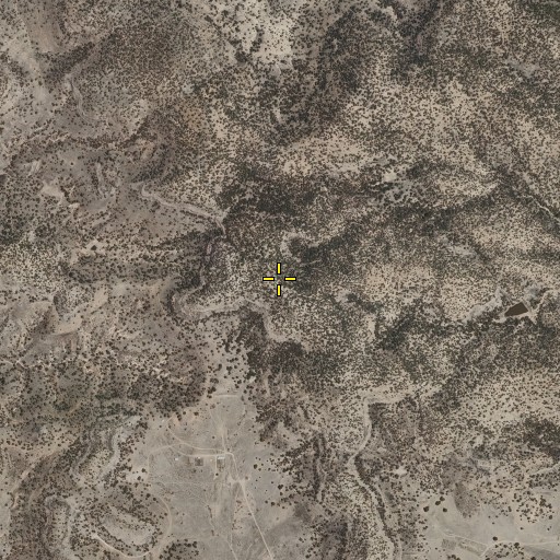 Aerial/Satellite Image of Mule Mountains, NM