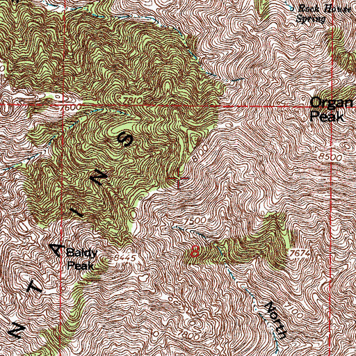 Topographic Map of Organ Mountains, NM