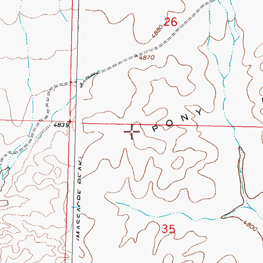 Topographic Map of Pony Hills, NM