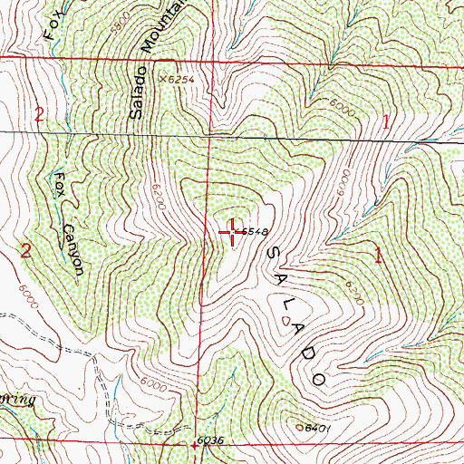 Topographic Map of Salado Mountains, NM