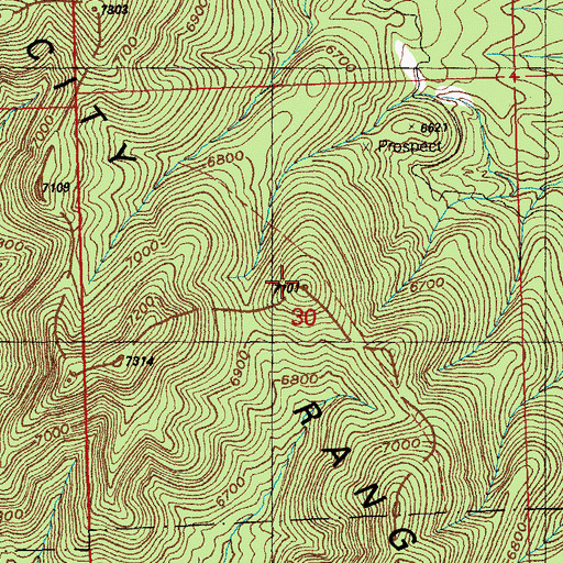 Topographic Map of Silver City Range, NM