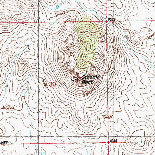 Topographic Map of Steeple Rock, NM