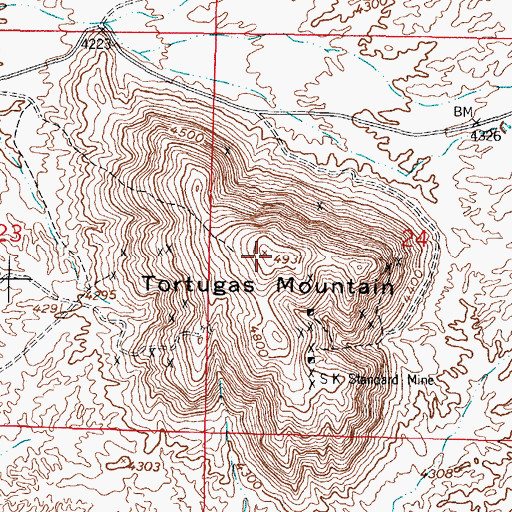 Topographic Map of Tortugas Mountain, NM