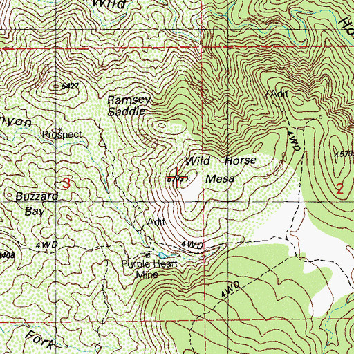 Topographic Map of Wild Horse Mesa, NM