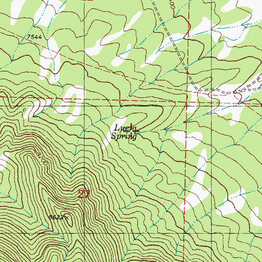Topographic Map of Luera Spring, NM